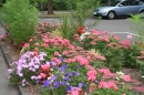 Car park bed on the day